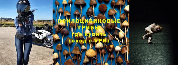 дмт Горно-Алтайск