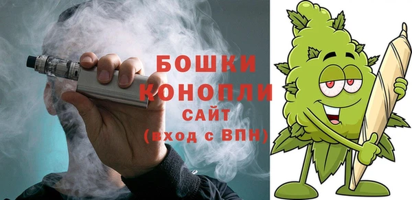 дмт Горно-Алтайск