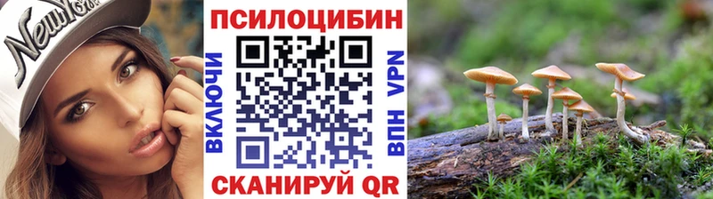 Галлюциногенные грибы Cubensis  закладка  Ермолино 